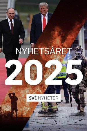 Nyhets&aring;ret 2025 - bilderna vi minns