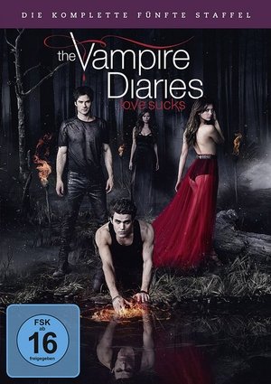 Vampire Diaries: Staffel 5