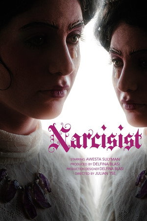 Narcisist 2
