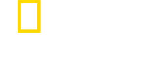 Photographer — Logos 6
