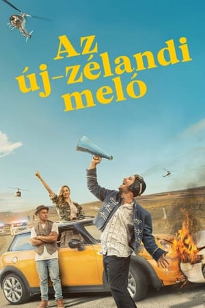 Poster Az új-zélandi meló 2017