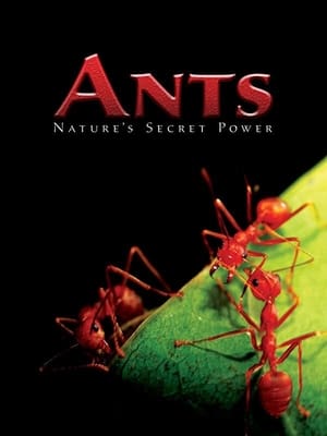 Poster Ants - Nature's Secret Power (2004)
