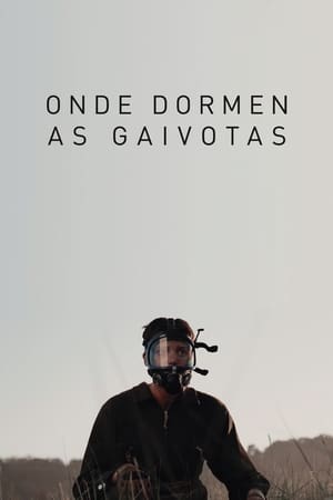 Poster Onde dormen as gaivotas 2020