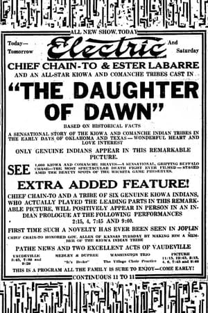 Poster di The Daughter of Dawn