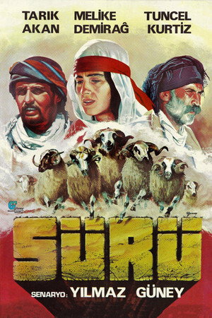 Görsel #224700