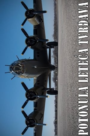 Image Sunken B-17 Flying Fortress