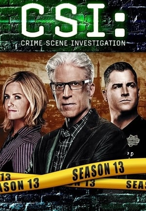 CSI: Crime Scene Investigation: Musim ke 13