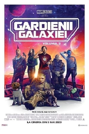 Poster Gardienii galaxiei vol. 3 2023