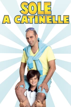 Poster Sole a catinelle 2013