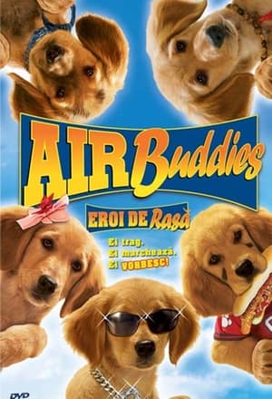 Poster Air Buddies 2006