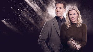 Reality Bites A Hannah Swensen Mystery (2025)