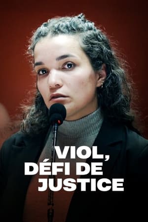 Poster Viol, défi de justice 2024