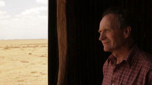 Dead Donkeys Fear No Hyenas