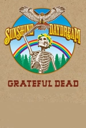 Grateful Dead: Sunshine Daydream poster