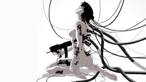 Ghost in the shell