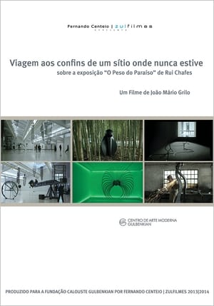 Viagem aos Confins de um Sítio Onde Nunca Estive film complet