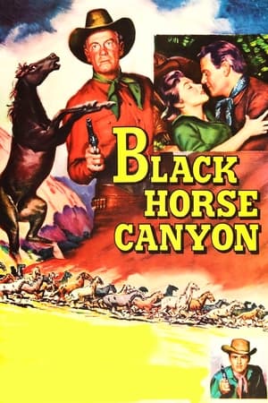 Poster Black Horse Canyon (1954)