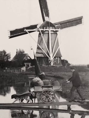 Countryside Near Amsterdam