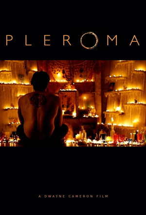Poster Pleroma (2013)