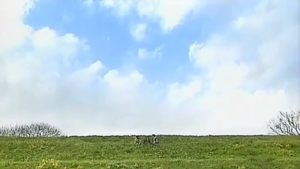 Kamen Rider Season 13 Episode 50