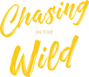 Chasing in the Wild