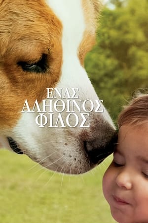 Poster Ένας Αληθινός Φίλος 2019