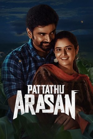 Pattathu Arasan 2022 Tamil WEB-DL 1080p 720p 480p x264