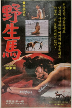 Wild Horse 2