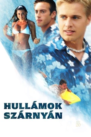 Hullámok szárnyán (2007)