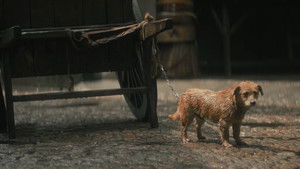 Fearless Whispers มหาอำนาจแห่งความลับ: 1×12