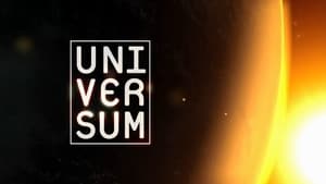 poster Universum