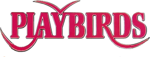 The Playbirds — Logos 1