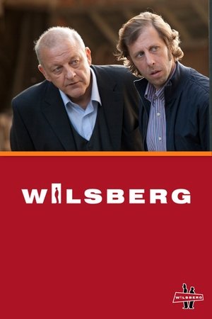 Image Wilsberg