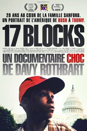 Poster 17 Blocks 2019