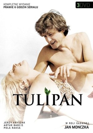 Image Tulipan