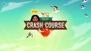Crash Course Zoology