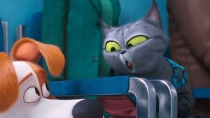 فلم كرتون الحياة السرية للحيوانات الأليفة 2 – The Secret Life of Pets 2 مدبلج