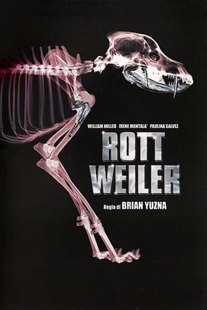 Poster Rottweiler 2004