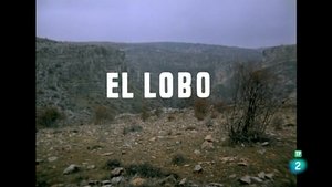 Episode 38