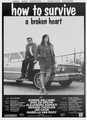 How to Survive a Broken Heart poster