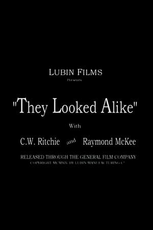 Poster They Looked Alike (1915)