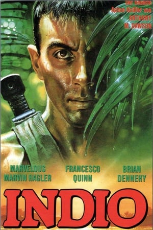 Poster Indio (1989)