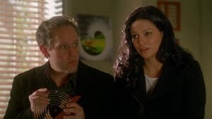 Numb3rs – Die Logik des Verbrechens: 2×14