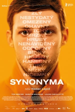 Poster Synonyma 2019