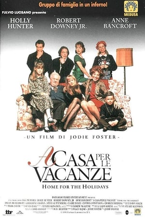 Poster A casa per le vacanze 1995