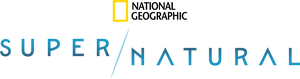/jM7UVrCZUxv17YypSDuPhnnfmJx.png