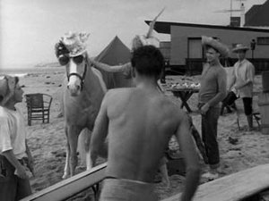 Mr. Ed: 2×23