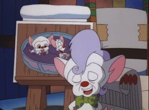 Pinky & der Brain: 3×29