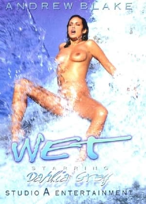 Poster Wet 1998
