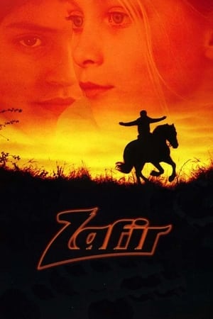 Image Zafir, un cavallo speciale